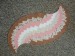 IMG-20250521-WA0000